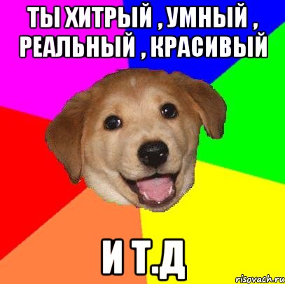 Ты хитрый , умный , реальный , красивый И т.д, Мем Advice Dog