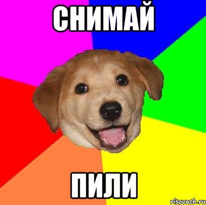 Снимай Пили, Мем Advice Dog