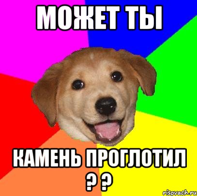 может ты камень проглотил ? ?, Мем Advice Dog