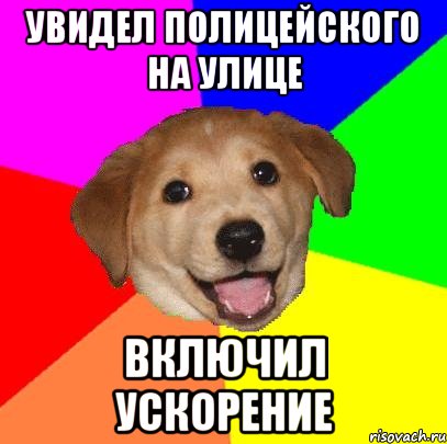 увидел полицейского на улице включил ускорение, Мем Advice Dog