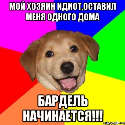 Мой хозяин идиот,оставил меня одного дома Бардель начинается!!!, Мем Advice Dog