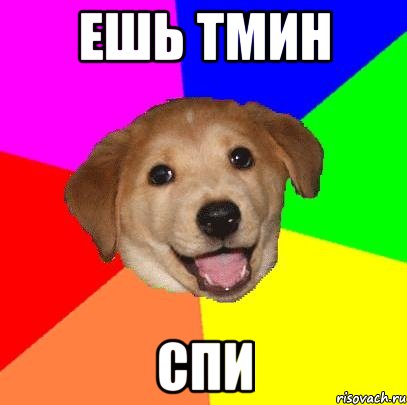 Ешь тмин Спи, Мем Advice Dog