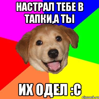 Настрал тебе в тапки,а ты их одел :с, Мем Advice Dog