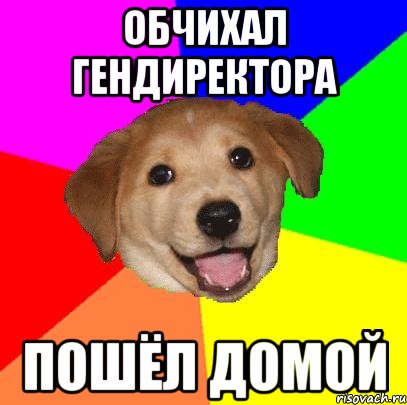 ОБЧИХАЛ ГЕНДИРЕКТОРА ПОШЁЛ ДОМОЙ, Мем Advice Dog