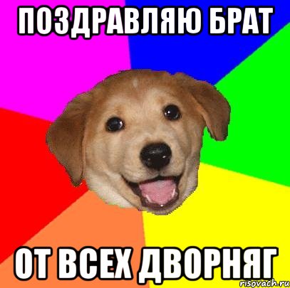 Поздравляю брат От всех дворняг, Мем Advice Dog