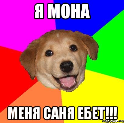 я Мона Меня Саня ебет!!!, Мем Advice Dog