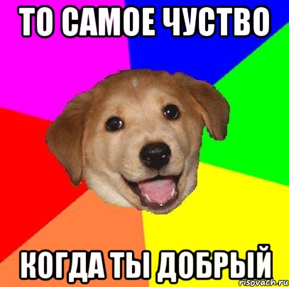 ТО САМОЕ ЧУСТВО КОГДА ТЫ ДОБРЫЙ, Мем Advice Dog