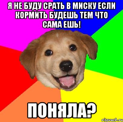 Я не буду срать в миску если кормить будешь тем что сама ешь! Поняла?, Мем Advice Dog