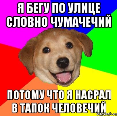 Я бегу по улице словно чумачечий потому что я насрал в тапок человечий, Мем Advice Dog