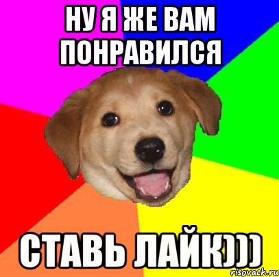 Ну я же вам понравился Ставь Лайк))), Мем Advice Dog