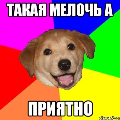 такая мелочь а приятно, Мем Advice Dog