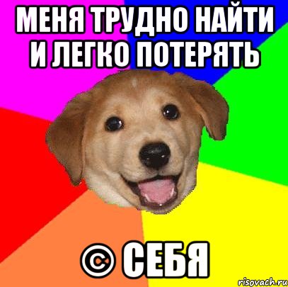 Меня трудно найти и легко потерять © Себя, Мем Advice Dog