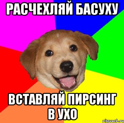 расчехляй басуху вставляй пирсинг в ухо, Мем Advice Dog