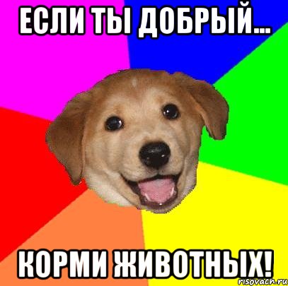 если ты добрый... корми животных!, Мем Advice Dog