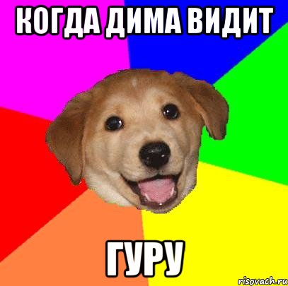 КОГДА ДИМА ВИДИТ ГУРУ, Мем Advice Dog