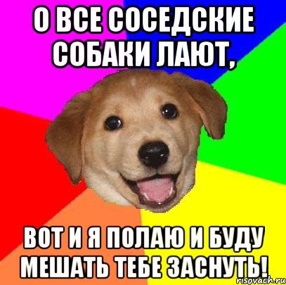 о все соседские собаки лают, вот и я полаю и буду мешать тебе заснуть!, Мем Advice Dog