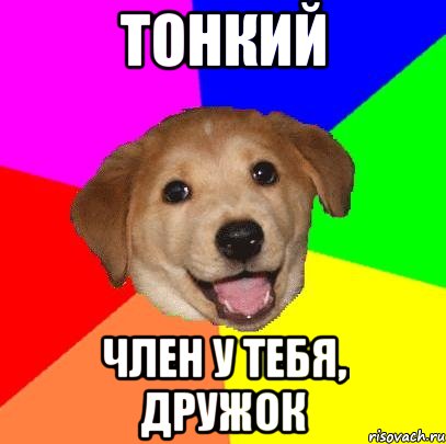 Тонкий Член у тебя, дружок, Мем Advice Dog