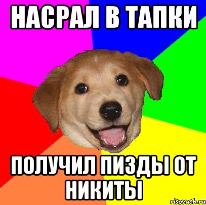 насрал в тапки получил пизды от никиты, Мем Advice Dog