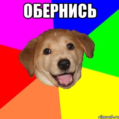 ОБЕРНИСЬ , Мем Advice Dog