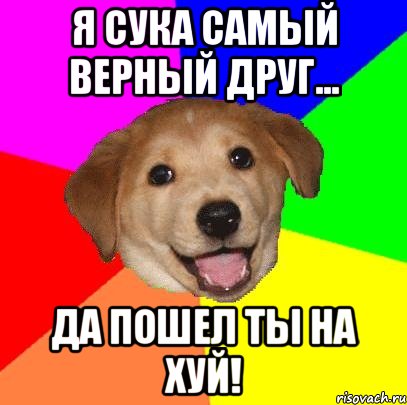 Я сука самый верный друг... Да пошел ты на хуй!, Мем Advice Dog