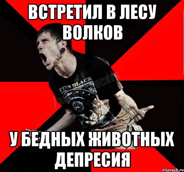 Встретил в лесу волков У бедных животных депресия, Мем Агрессивный рокер