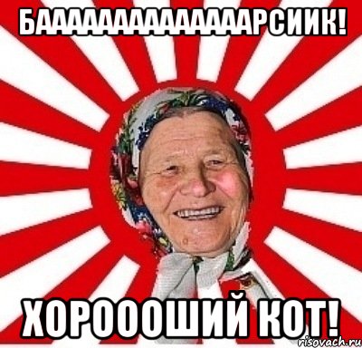 Баааааааааааааарсиик! хороооший кот!, Мем  бабуля