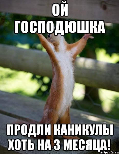 Ой Господюшка продли каникулы хоть на 3 месяца!, Мем    белка молится