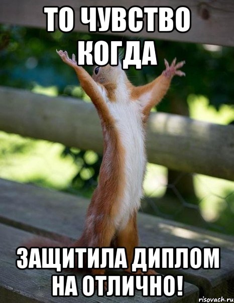 то чувство когда защитила диплом на отлично!, Мем    белка молится