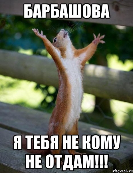 Барбашова Я тебя не кому не отдам!!!, Мем    белка молится
