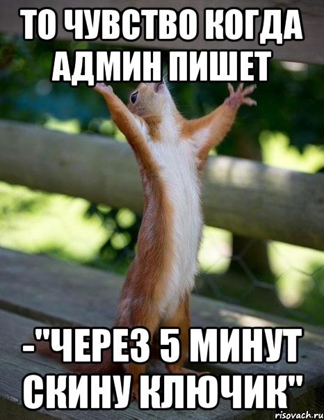 То чувство когда админ пишет -"через 5 минут скину ключик", Мем    белка молится