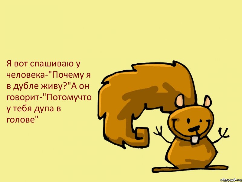 Я вот спашиваю у человека-"Почему я в дубле живу?"А он говорит-"Потомучто у тебя дупа в голове", Комикс  белка