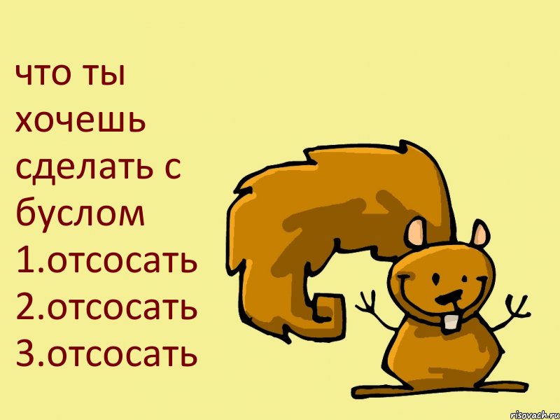 что ты хочешь сделать с буслом 1.отсосать 2.отсосать 3.отсосать, Комикс  белка