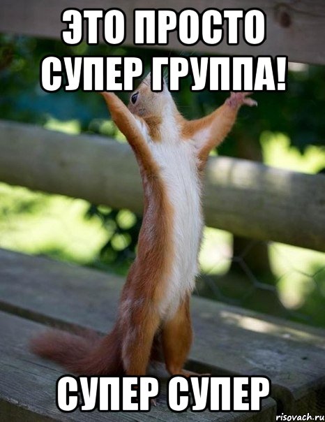 это просто супер группа! супер супер, Мем    белка молится