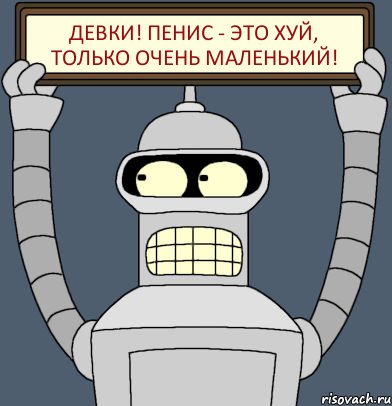 Девки! Пенис - это хуй, только очень маленький!, Комикс Бендер с плакатом