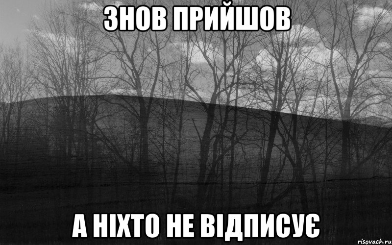 знов прийшов а ніхто не відписує, Мем безысходность лес