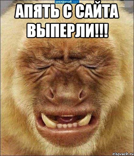 апять с сайта выперли!!! 