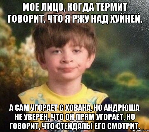 Мое лицо, когда Термит говорит, что я ржу над хуйней, а сам угорает с Хована, но Андрюша не уверен, что он прям угорает, но говорит, что стендапы его смотрит., Мем Недовольный пацан