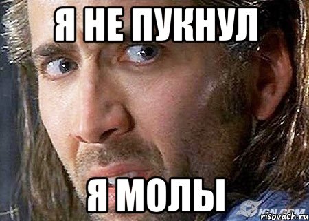 я не пукнул я молы, Мем Cage