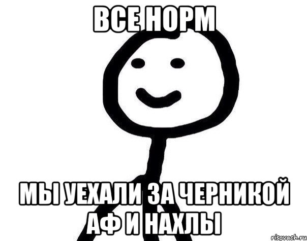 Все норм Мы уехали за Черникой АФ и Нахлы, Мем Теребонька (Диб Хлебушек)