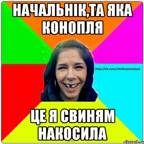 Начальнік,та яка конопля це я свиням накосила, Мем Чотка мала