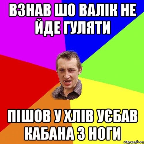 ВЗНАВ ШО ВАЛІК НЕ ЙДЕ ГУЛЯТИ ПІШОВ У ХЛІВ УЄБАВ КАБАНА З НОГИ, Мем Чоткий паца