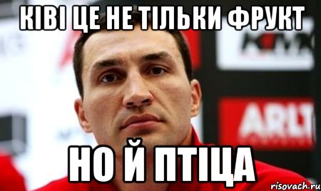 ківі це не тільки фрукт но й птіца, Мем  Цитати Кличка