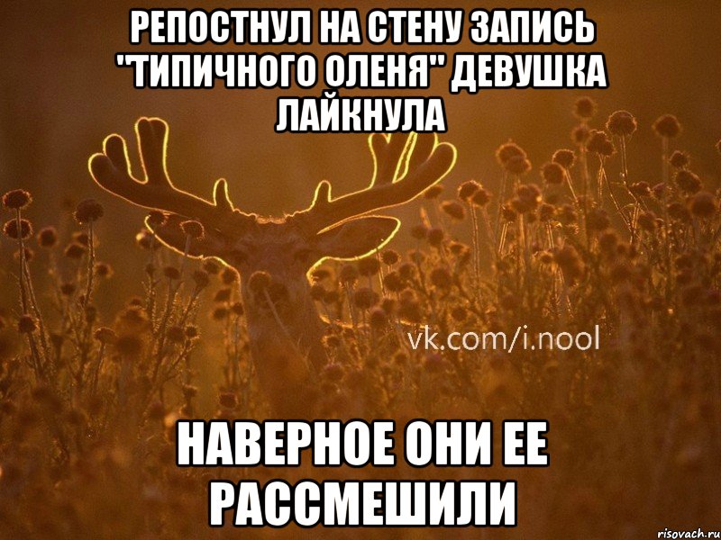 репостнул на стену запись "Типичного оленя" девушка лайкнула наверное они ее рассмешили, Мем  ву