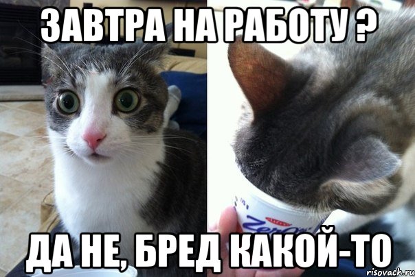 Завтра на работу ? Да не, бред какой-то