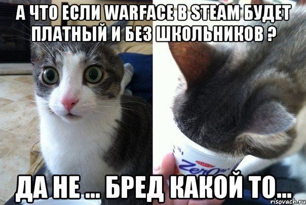 А что если Warface B Steam Будет платный и без школьников ? Да не ... бред какой то...