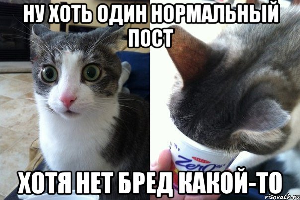 Ну Хоть один нормальный пост Хотя нет бред какой-то