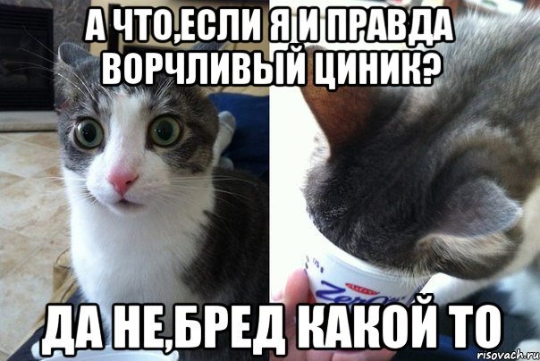 А что,если я и правда ворчливый циник? Да не,бред какой то