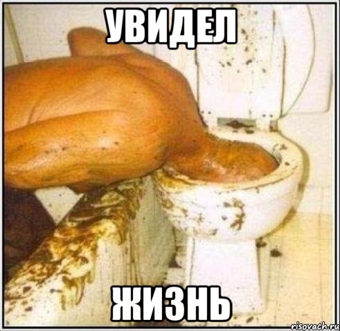 Увидел Жизнь, Мем Дайвер