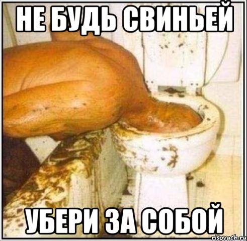 НЕ БУДЬ СВИНЬЕЙ УБЕРИ ЗА СОБОЙ, Мем Дайвер