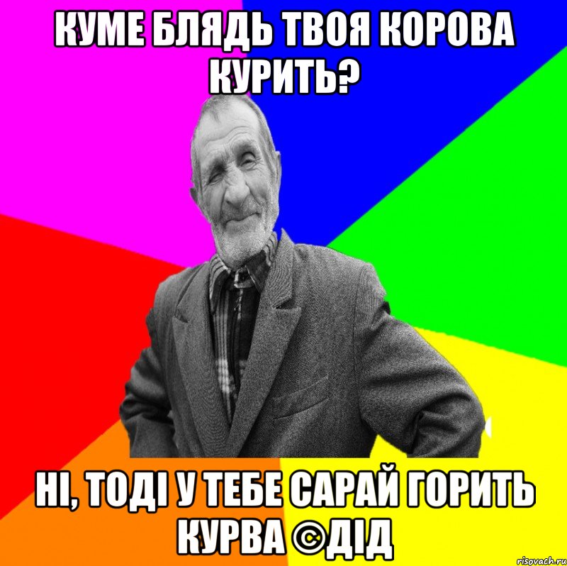 куме блядь твоя корова курить? ні, тоді у тебе сарай горить КУРВА ©ДІД, Мем ДЕД